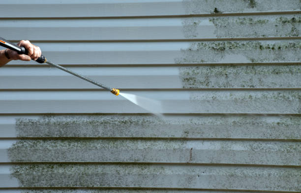 Best Exterior Home Cleaning  in Blue Mound, IL