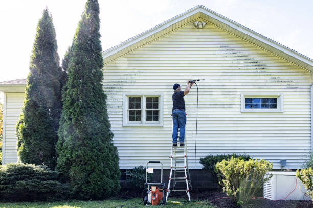 Best Power Washing Near Me  in Blue Mound, IL