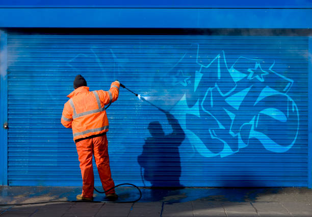 Best Garage Pressure Washing  in Blue Mound, IL